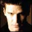 David boreanaz